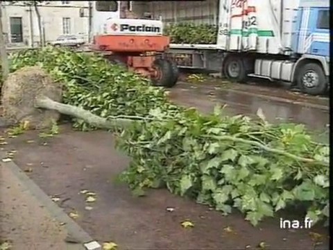 Remplacement des platanes de la place Napoléon à La Roche sur Yon