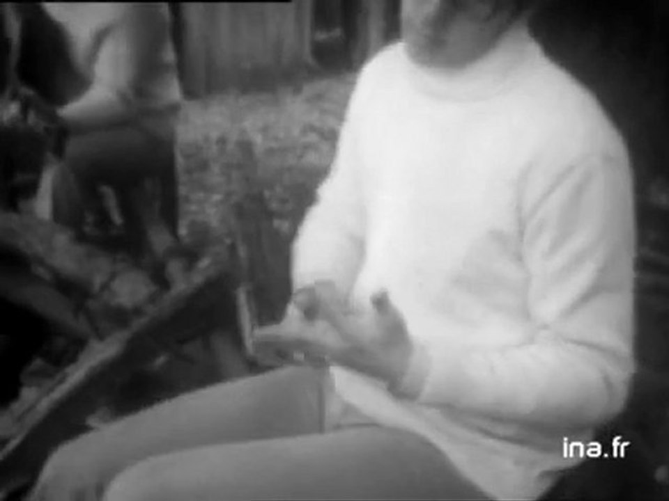 Magazine des spectacles : 10ème festival variétés de Rennes