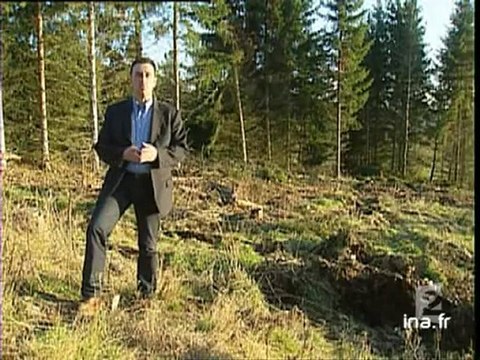 Energies renouvelables : le bois.