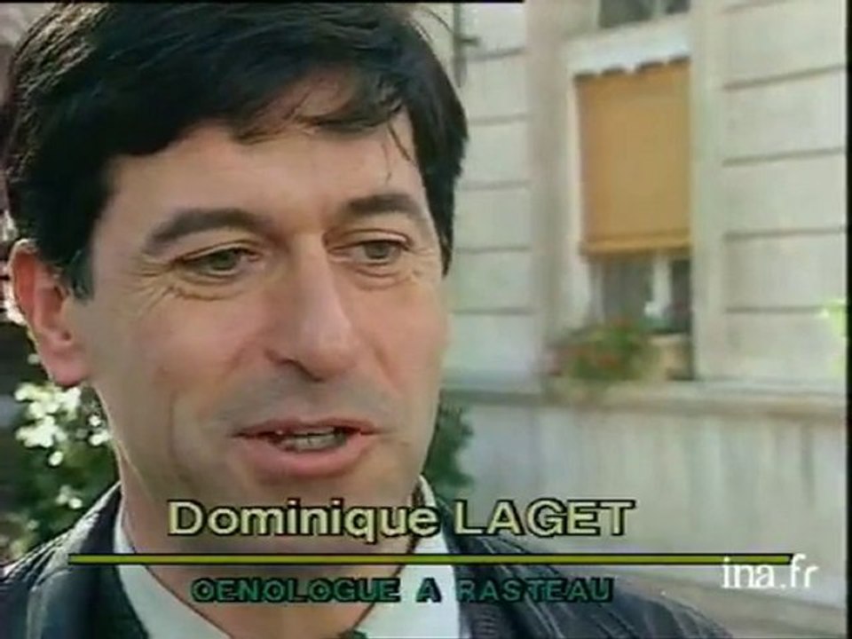 Avignon : vin primeur du Côte du Rhône