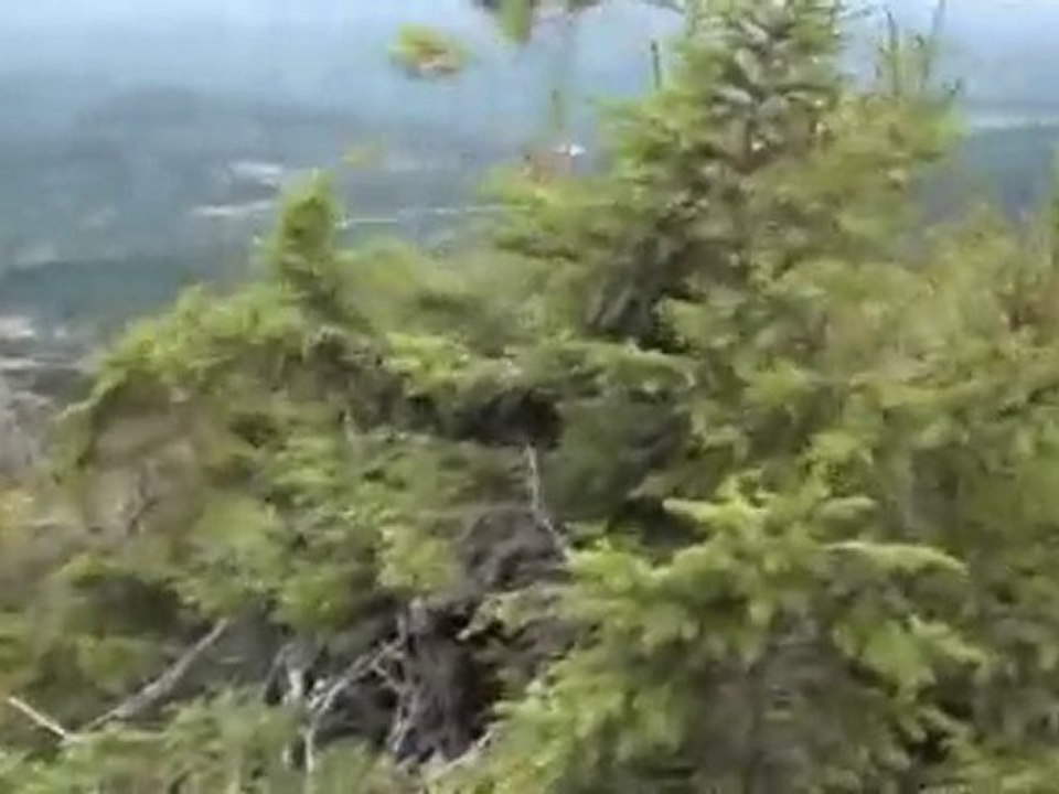 123.takaとkayoの世界旅行★トロンハイムinノルウェー(3日目)  世界遺産 動画