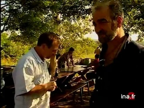 CARTE HERAULT - JOURNEE BOVE / FACTUEL