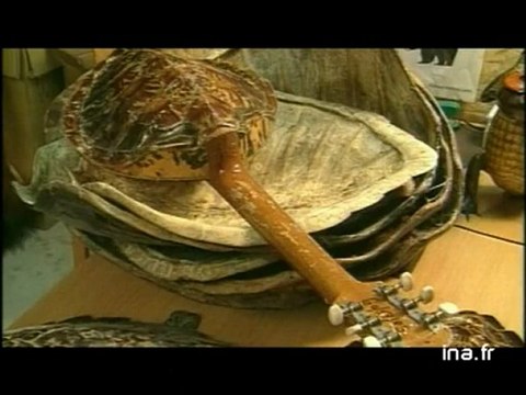 [Disparition des espèces animales et végétales]