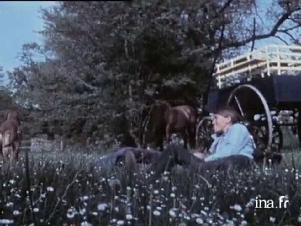 Vacances insolites en calèche