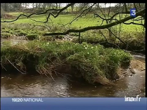 [Commission européenne et pollution aux nitrates en Bretagne]