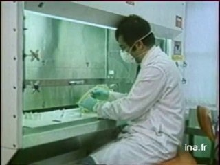 La guerre bactériologique et la guerre chimique