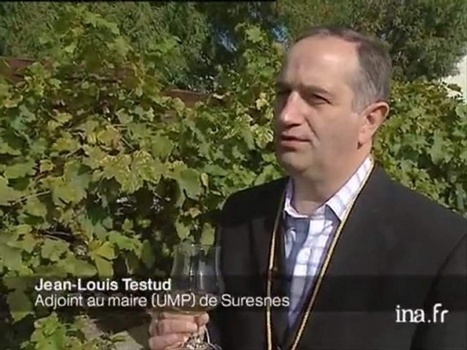 Suresnes : fêtes des vendanges