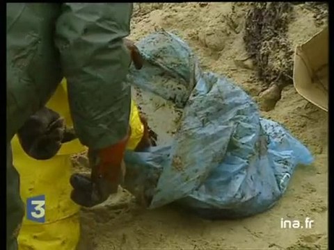 Invitée Corinne Lepage