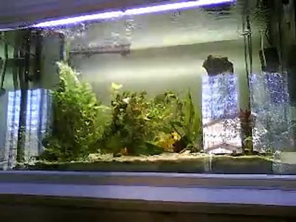 AQUARIUM