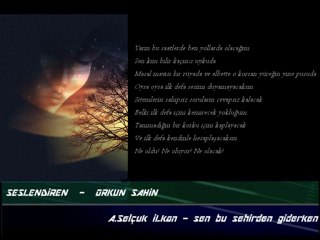 Orkun Şahin - Sen bu şiiri okurken