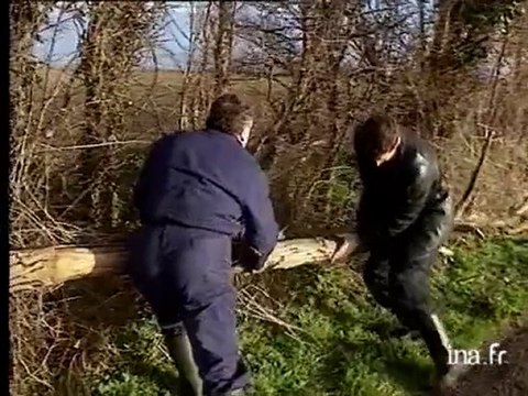 Tempête : Le point sur la côte du Calvados, inondations et maisons effondrées