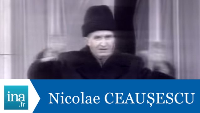 Chute et fuite de Nicolae Ceaușescu - Archive INA