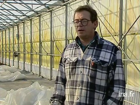 Les dégâts chez les maraîchers suite à la tempête