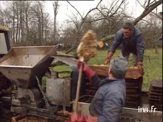 Bocage virois : état des lieux