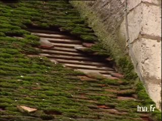 Yonne : dégâts monuments historiques suite à la tempête
