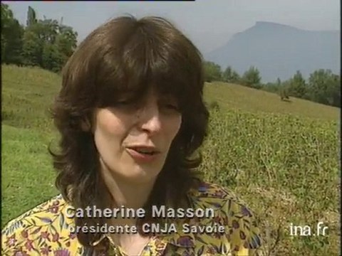 Importants dégâts dus à la grêle dans le vignoble d'Apremont