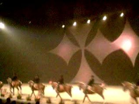 Cadre noir de saumur