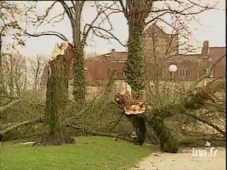 Tour d'horizon des très importants dégâts matériels causés en région par la violente tempête