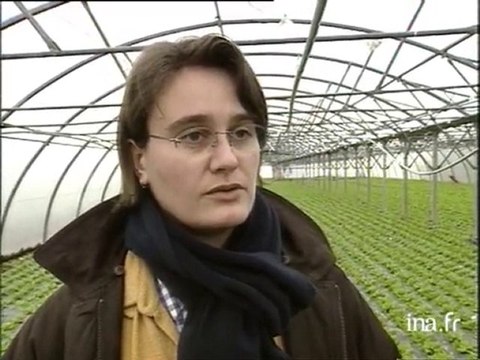 Bilan de la tempête sur les serres