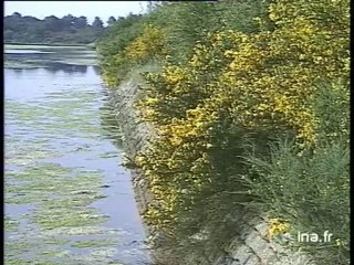 L'utilisation des pesticides en Bretagne