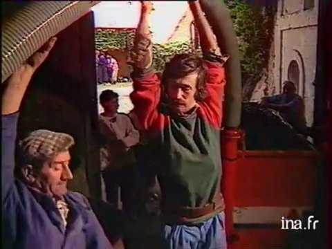 Les vendanges en Val de Loir