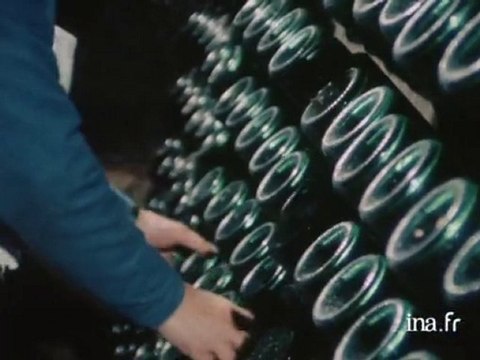 La vinification dans le Saumurois