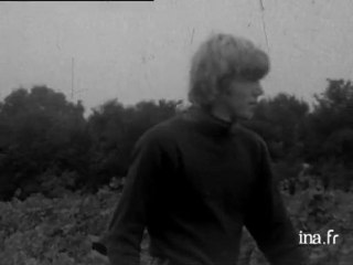 Région : les vendanges battent leur plein avec de jeunes Allemands