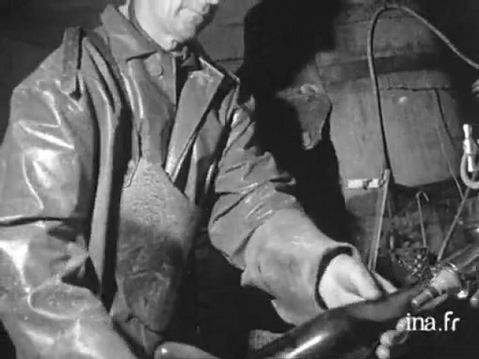 Magazine agricole : les vins d'Ingrandes