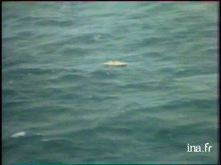 Point sur l'exploit en cours