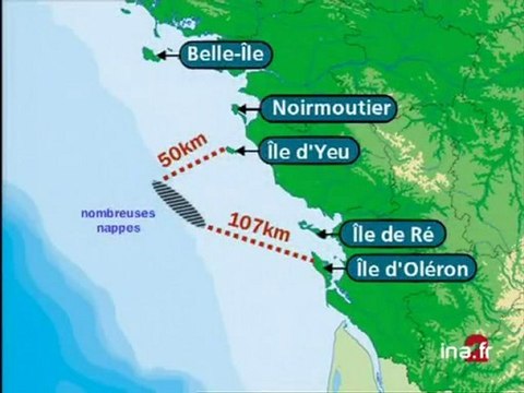 IMAGES ILLUSTRATIONS MAREE NOIRE