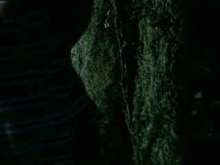 VTS_01_2