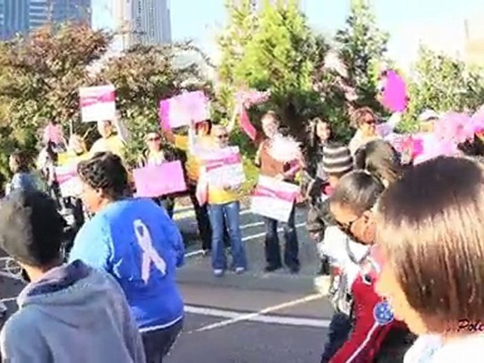 PoleLaTeaz "Making Strides Against Breast Cancer" Walk 2010