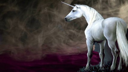 Un automne au Shangaï