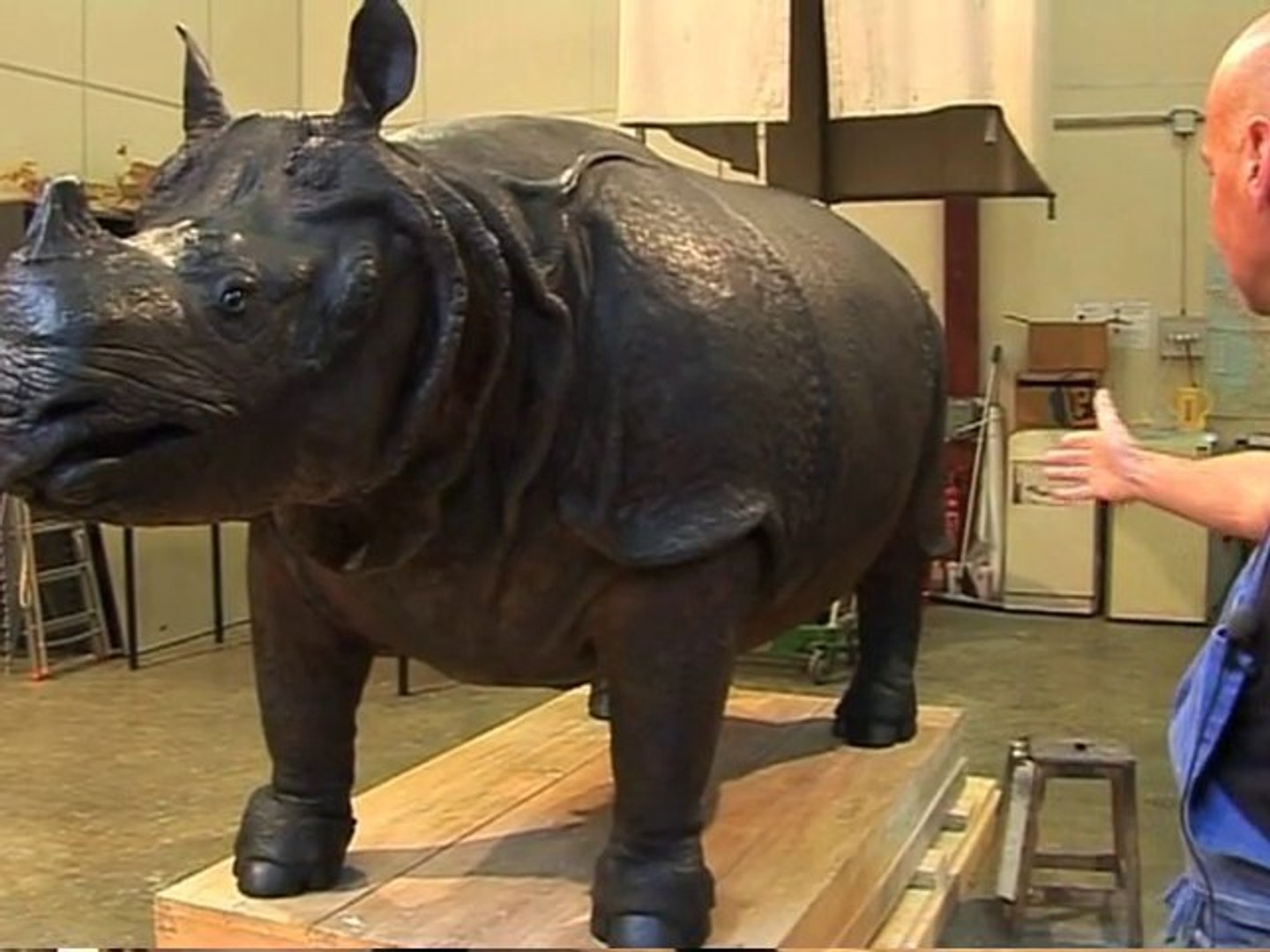 Le déménagement du rhinocéros de Louis XV