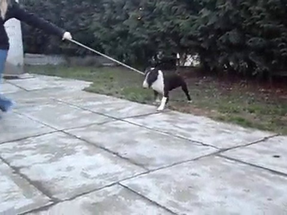 Lola training