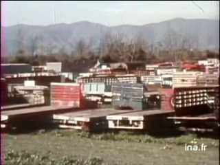 Manifestation Chili + ALLENDE