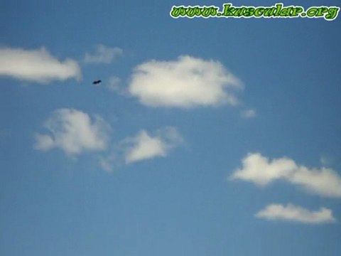 Ankara Kuşçularından Doğan Toker Ankara Oyun Kuşları