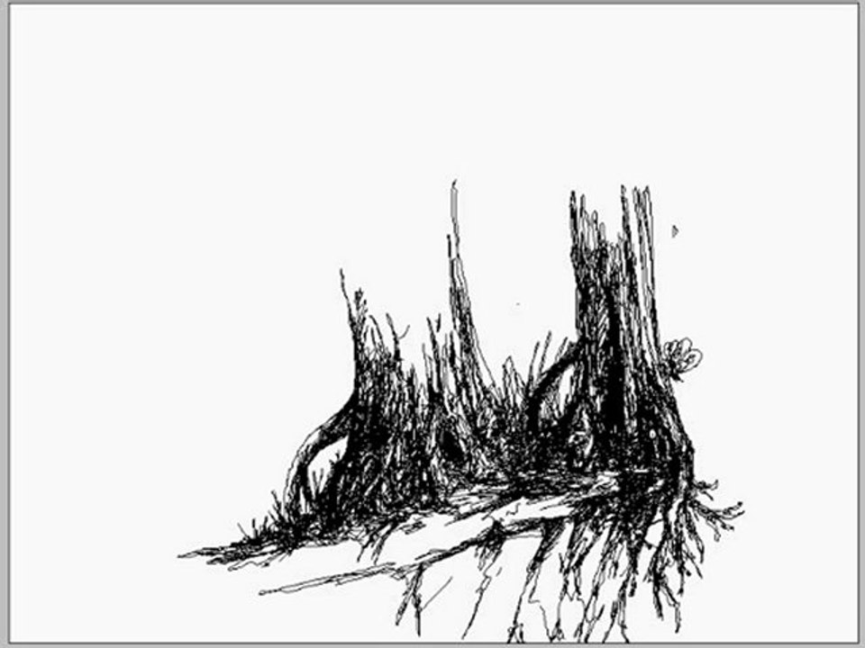 Croquis arbres zad