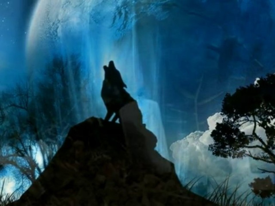 Scary Halloween to all Dailymotion people ;)