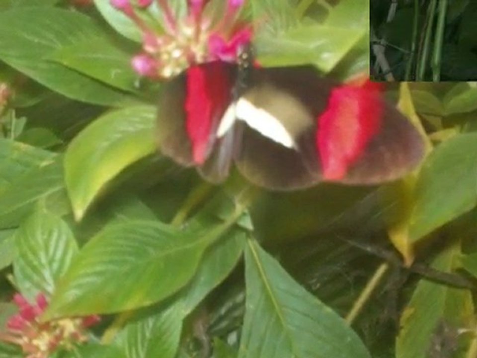 SORTIE LE 25 OCTOBRE