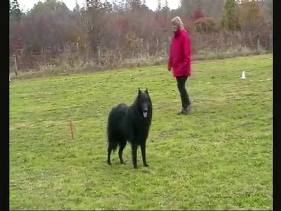 benji  à mersuay le 24/10/2010 classe2
