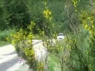 Stéphane Sarrazin Tests Days DS3 Wrc.flv