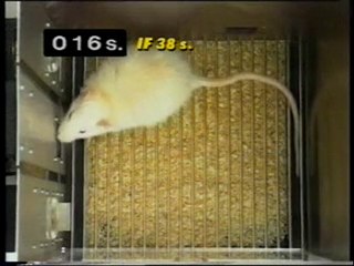 Programas de reforzamiento parte 1