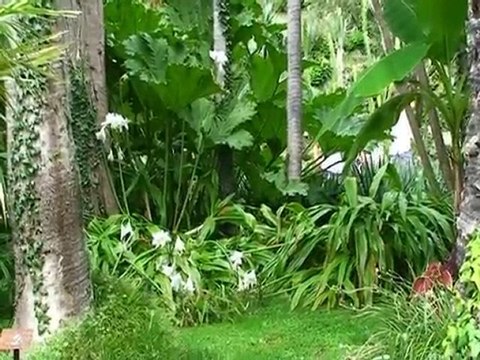 Italie lac de Come les jardins de la villa Carlotta en Lombardie