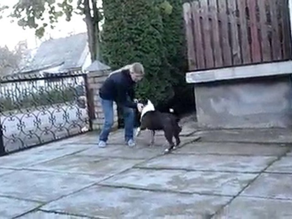 Lola training p3