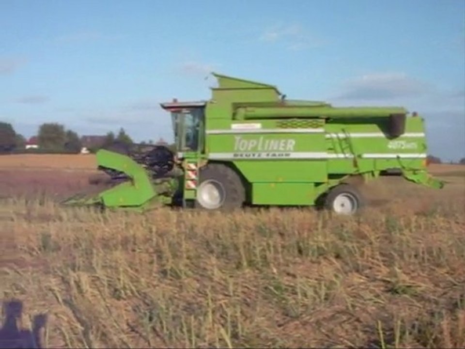 Rape Harvest in Oise