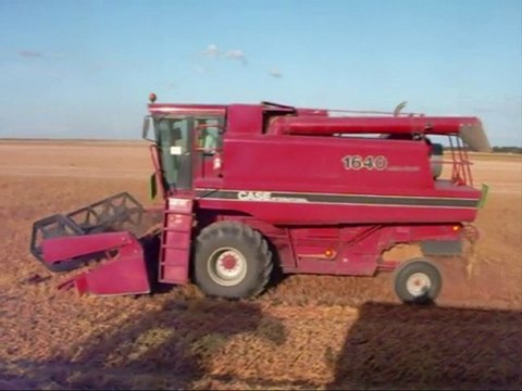 Récolte des pois protéagineux dans la Marne.