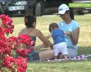 Çim Alan Nasıl Oluşturulur