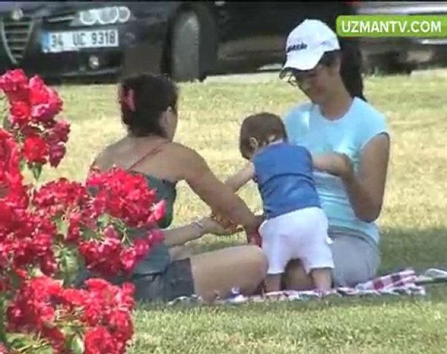 Çim Alan Nasıl Oluşturulur