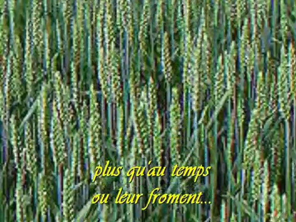 Psaume 4 L'Éternel est ma sécurité